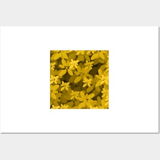 Yellow Flowers Posters and Art